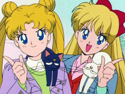 美少女战士 第39话