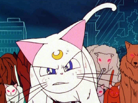 美少女战士R 第33话